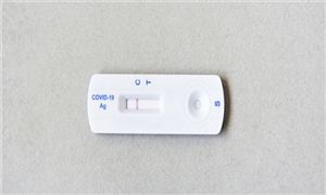高性能纤维行业发展前景及趋势分析2022(图6)