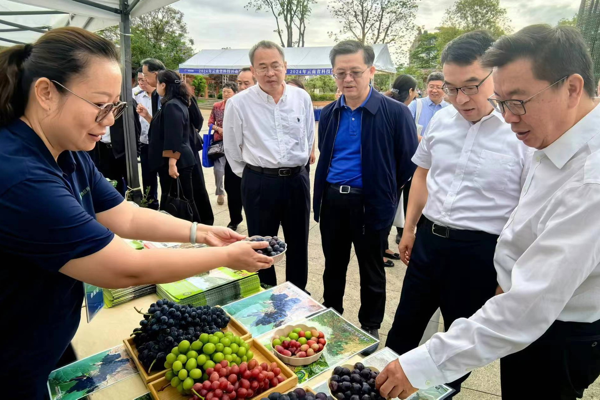 2024年云南省科技活动周在文山启动(图2)