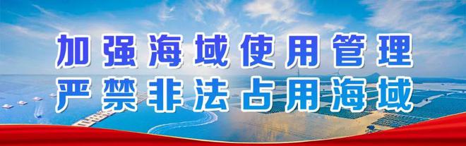 重点项目观摩“有看头”!(图15) 重点项目观摩“有看头”!(图15)